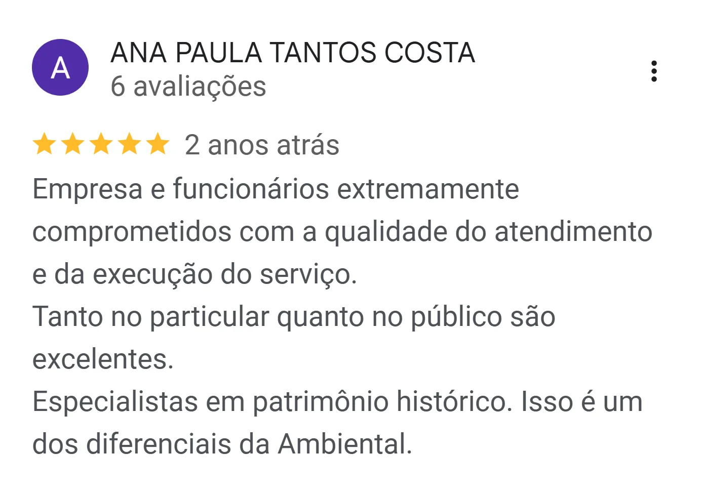 Avaliação de Ana Paula Tantos Costa no Google: excelente no particular e no público, especialistas em patrimônio histórico